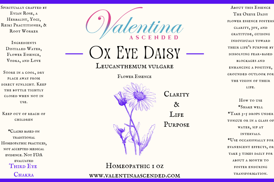 Ox Eye Daisy Flower Essence
