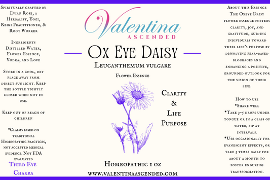 Ox Eye Daisy Flower Essence